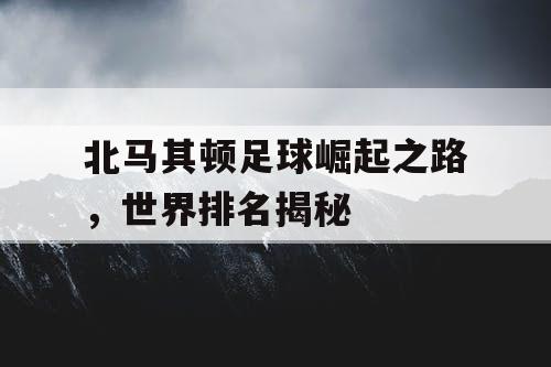 北马其顿足球崛起之路，世界排名揭秘
