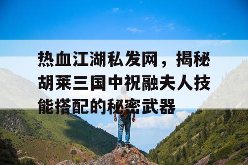 热血江湖私发网，揭秘胡莱三国中祝融夫人技能搭配的秘密武器
