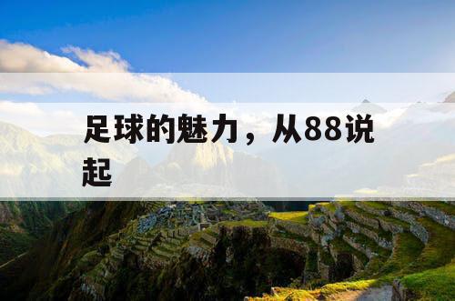 足球的魅力，从88说起