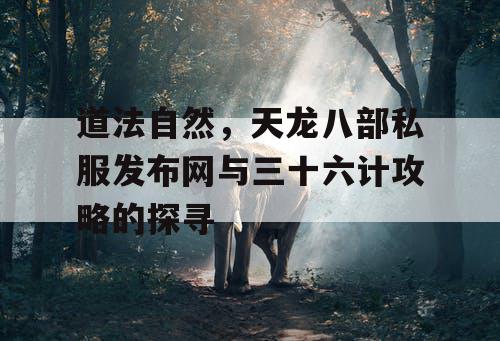 道法自然，天龙八部私服发布网与三十六计攻略的探寻