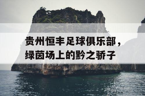 贵州恒丰足球俱乐部，绿茵场上的黔之骄子