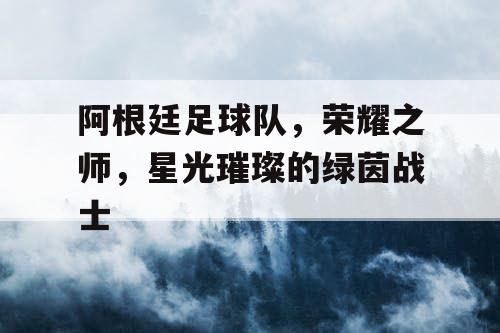 阿根廷足球队，荣耀之师，星光璀璨的绿茵战士