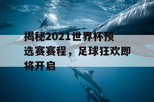 揭秘2021世界杯预选赛赛程，足球狂欢即将开启