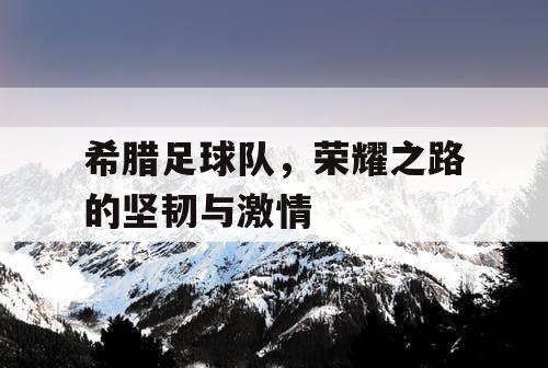 希腊足球队，荣耀之路的坚韧与激情