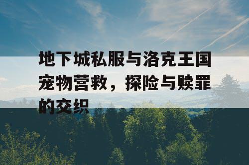 地下城私服与洛克王国宠物营救，探险与赎罪的交织