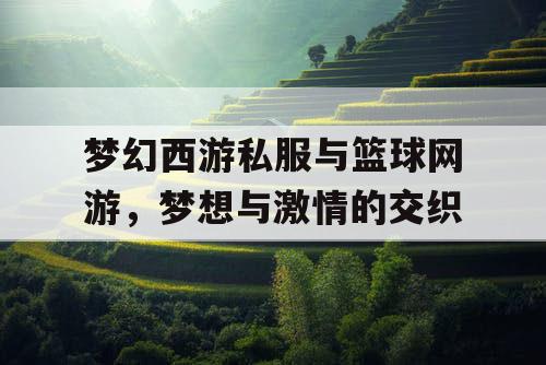 梦幻西游私服与篮球网游，梦想与激情的交织