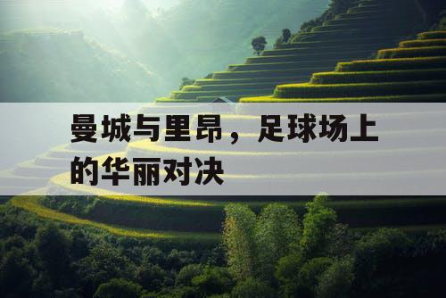曼城与里昂，足球场上的华丽对决