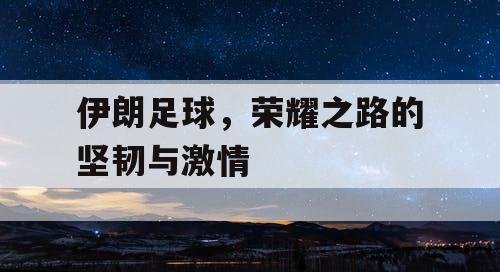 伊朗足球，荣耀之路的坚韧与激情