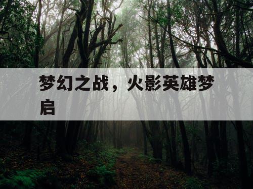 梦幻之战，火影英雄梦启