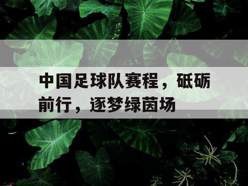 中国足球队赛程，砥砺前行，逐梦绿茵场
