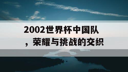 2002世界杯中国队，荣耀与挑战的交织