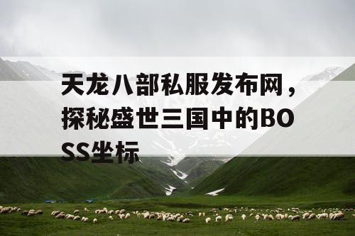 天龙八部私服发布网，探秘盛世三国中的BOSS坐标