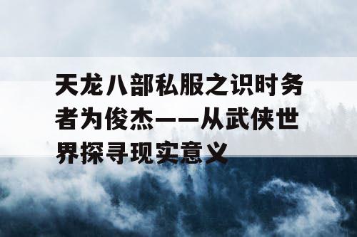 天龙八部私服之识时务者为俊杰——从武侠世界探寻现实意义 天龙八部私服之识时务者为俊杰——从武侠世界探寻现实意义