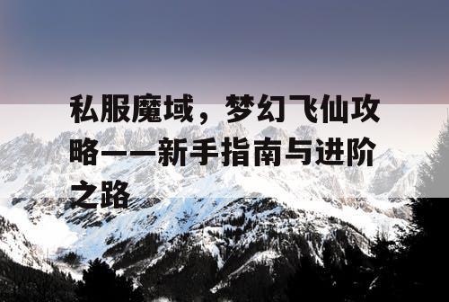 私服魔域,梦幻飞仙攻略——新手指南与进阶之路 私服魔域,梦幻飞仙攻略——新手指南与进阶之路