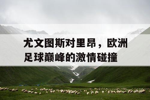 尤文图斯对里昂，欧洲足球巅峰的激情碰撞