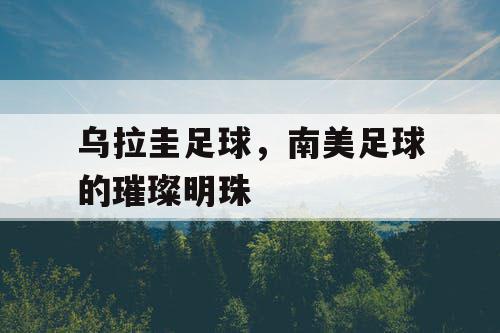乌拉圭足球,南美足球的璀璨明珠 乌拉圭足球,南美足球的璀璨明珠