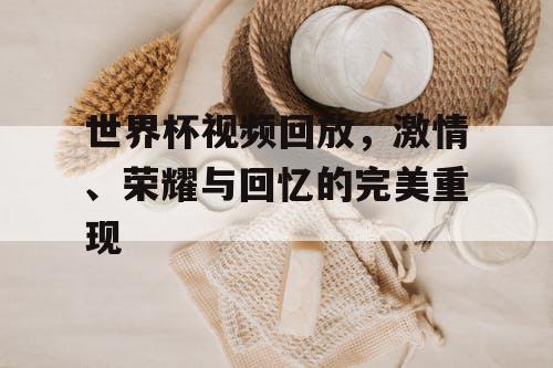 世界杯视频回放，激情、荣耀与回忆的完美重现