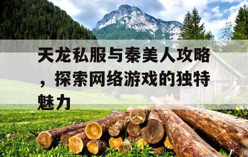 天龙私服与秦美人攻略，探索网络游戏的独特魅力