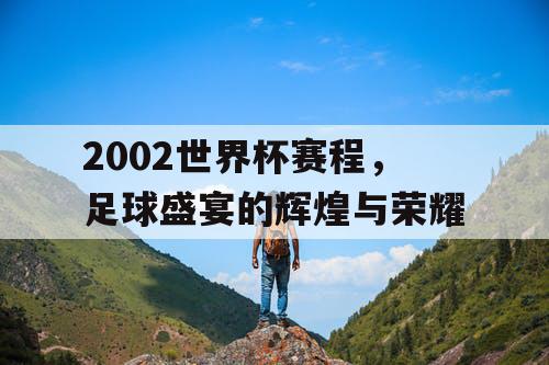 2002世界杯赛程，足球盛宴的辉煌与荣耀