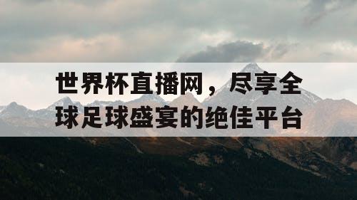 世界杯直播网，尽享全球足球盛宴的绝佳平台