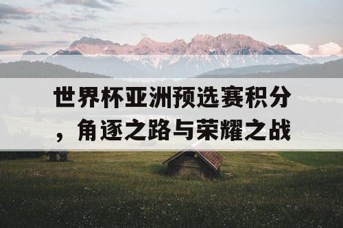 世界杯亚洲预选赛积分，角逐之路与荣耀之战