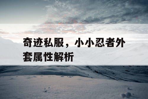 奇迹私服，小小忍者外套属性解析