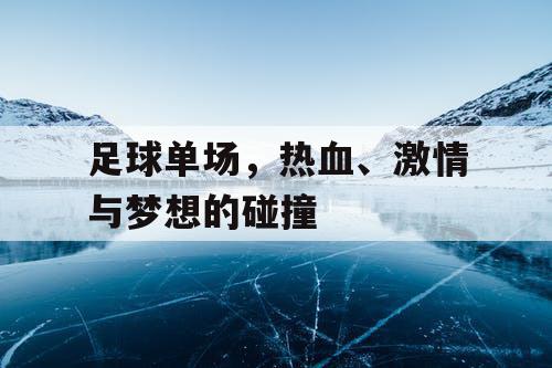 足球单场，热血、激情与梦想的碰撞