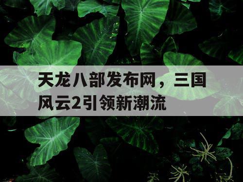 天龙八部发布网，三国风云2引领新潮流