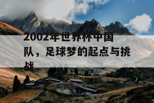 2002年世界杯中国队，足球梦的起点与挑战