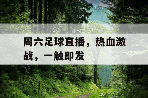 周六足球直播，热血激战，一触即发
