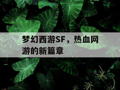 梦幻西游SF，热血网游的新篇章