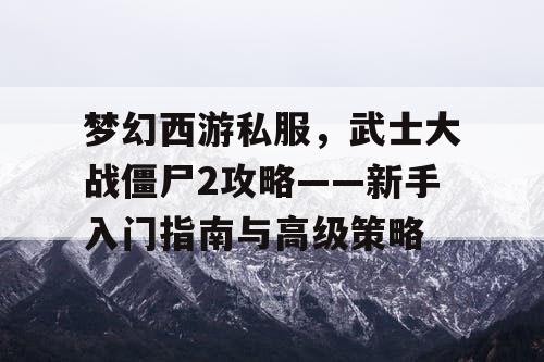 梦幻西游私服，武士大战僵尸2攻略——新手入门指南与高级策略