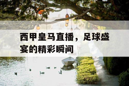 西甲皇马直播，足球盛宴的精彩瞬间