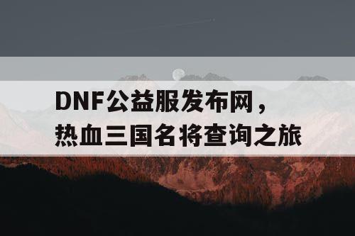DNF公益服发布网，热血三国名将查询之旅