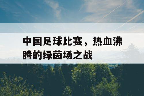 中国足球比赛，热血沸腾的绿茵场之战