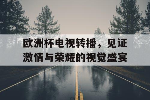 欧洲杯电视转播，见证激情与荣耀的视觉盛宴