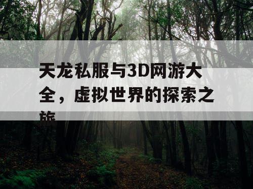 天龙私服与3D网游大全，虚拟世界的探索之旅