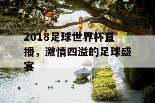 2018足球世界杯直播，激情四溢的足球盛宴