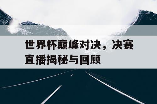 世界杯巅峰对决，决赛直播揭秘与回顾