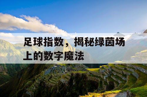 足球指数，揭秘绿茵场上的数字魔法