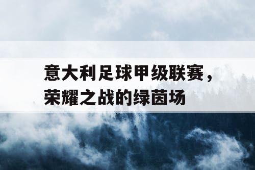 意大利足球甲级联赛，荣耀之战的绿茵场