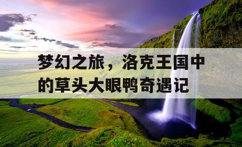 梦幻之旅，洛克王国中的草头大眼鸭奇遇记