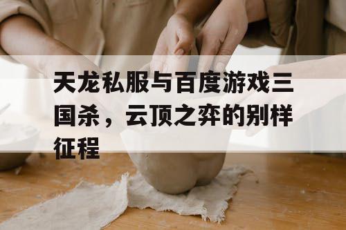 天龙私服与百度游戏三国杀，云顶之弈的别样征程
