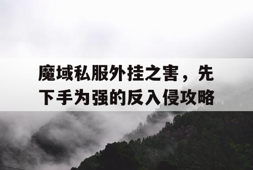 魔域私服外挂之害，先下手为强的反入侵攻略