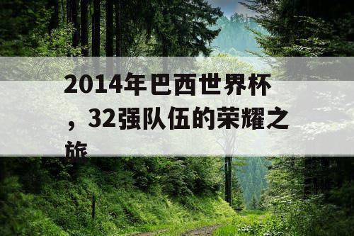 2014年巴西世界杯，32强队伍的荣耀之旅