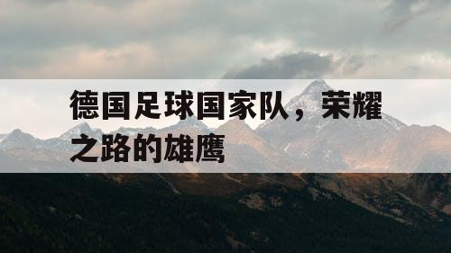德国足球国家队，荣耀之路的雄鹰
