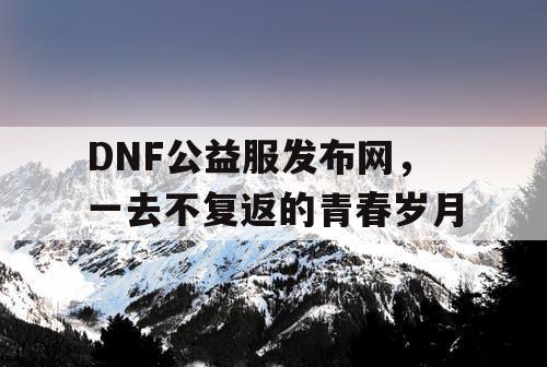 DNF公益服发布网，一去不复返的青春岁月