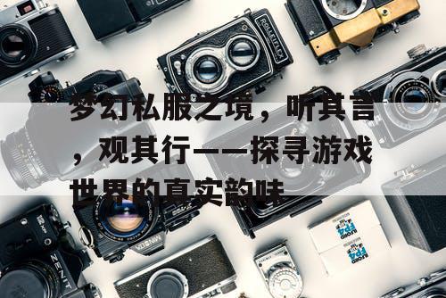 梦幻私服之境，听其言，观其行——探寻游戏世界的真实韵味
