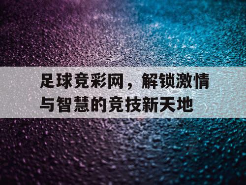 足球竞彩网，解锁激情与智慧的竞技新天地