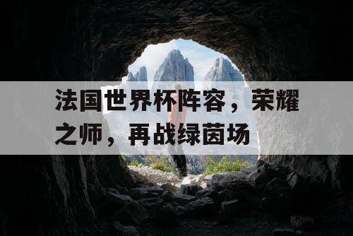 法国世界杯阵容，荣耀之师，再战绿茵场